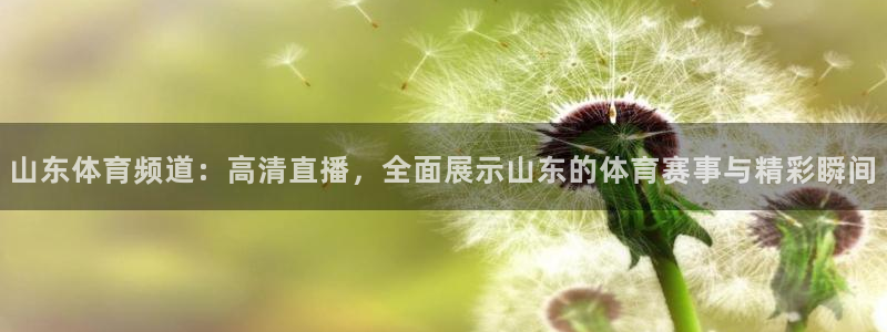 玩球直播在线观看免费高清：山东体育频道：高清直播，全面展示山东的体育赛事与精彩瞬间