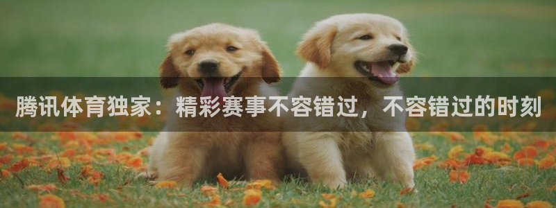 玩球直播：腾讯体育独家：精彩赛事不容错过，不容错过的时刻