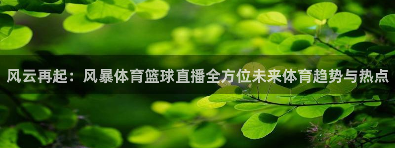 玩球直播app下载苹果：风云再起：风暴体育篮球直播全方位未来体育趋势与热点