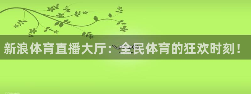 玩球直播：新浪体育直播大厅：全民体育的狂欢时刻！