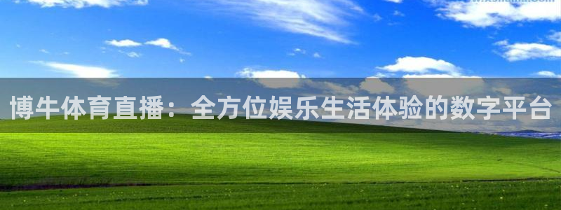玩球直播app苹果下载：博牛体育直播：全方位娱乐生活体验的数字平台
