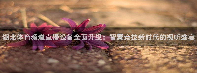 玩球直播app在线下载：湖北体育频道直播设备全面升级：智慧竞技新时代的视听盛宴