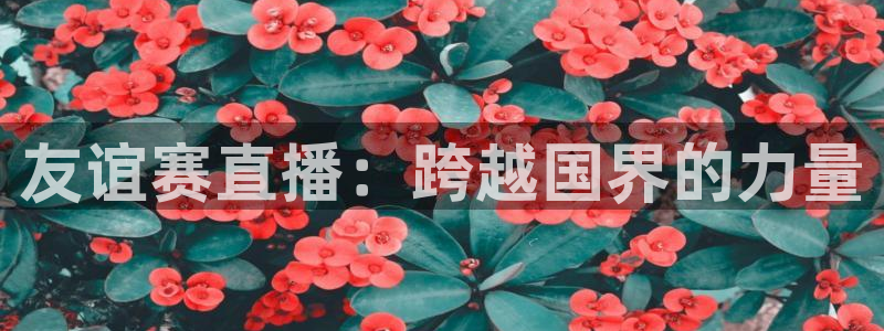 nba玩球直播手机在线直播：友谊赛直播：跨越国界的力量