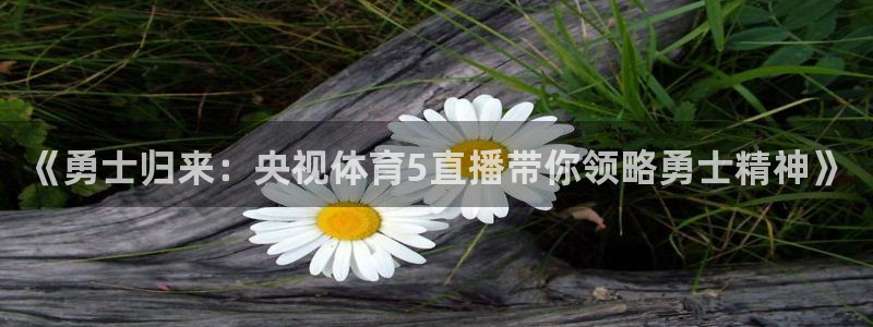 玩球直播官网下载：《勇士归来：央视体育5直播带你领略勇士精神》
