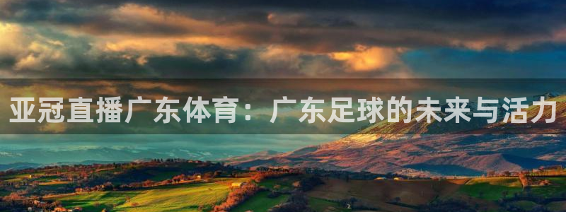 玩球直播ios版：亚冠直播广东体育：广东足球的未来与活力