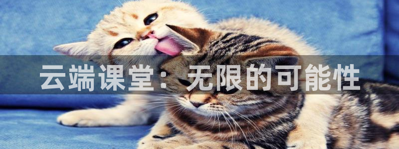 nba直播玩球直播：云端课堂：无限的可能性