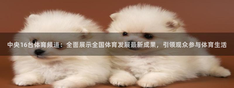 玩球直播app免费下载：中央16台体育频道：全面展示全国体育发展最新成果，引领观众参与体育生活