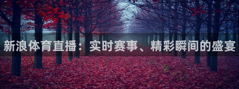 玩球直播官网wqzb000：新浪体育直播：实时赛事、精彩瞬间的盛宴